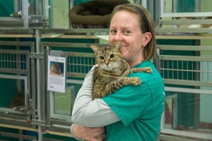 Nellie the senior brown tabby cat with Jennie Wright