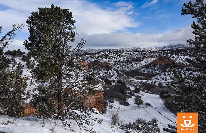 A fresh layer of snow blanketed Angel Canyon
