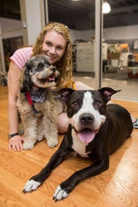 George the pit bull terrier mix got a second chance