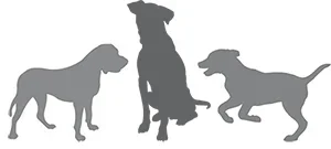 Silhouettes of three big dogs playing