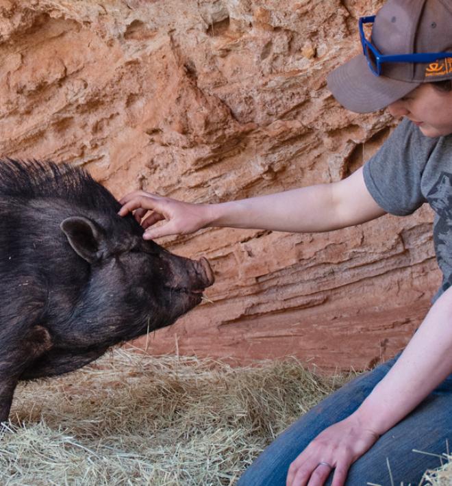 Woman petting black pig