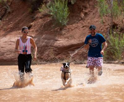 Two people hiking with a dog in Southern Utah