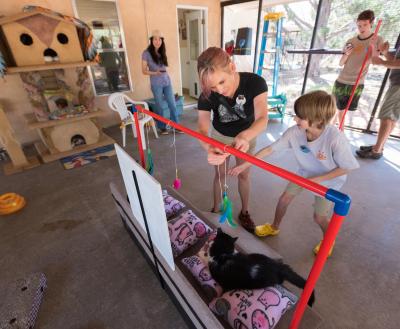 Family volunteering with cats at Best Friends Animal Society