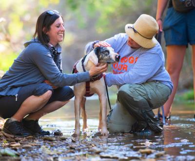 Two people with a dog in a creek near Kanab, UT