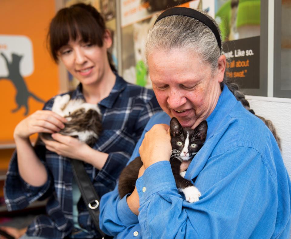 Person holding a black and white kitten in the foreground with another person holding another kitten behind her