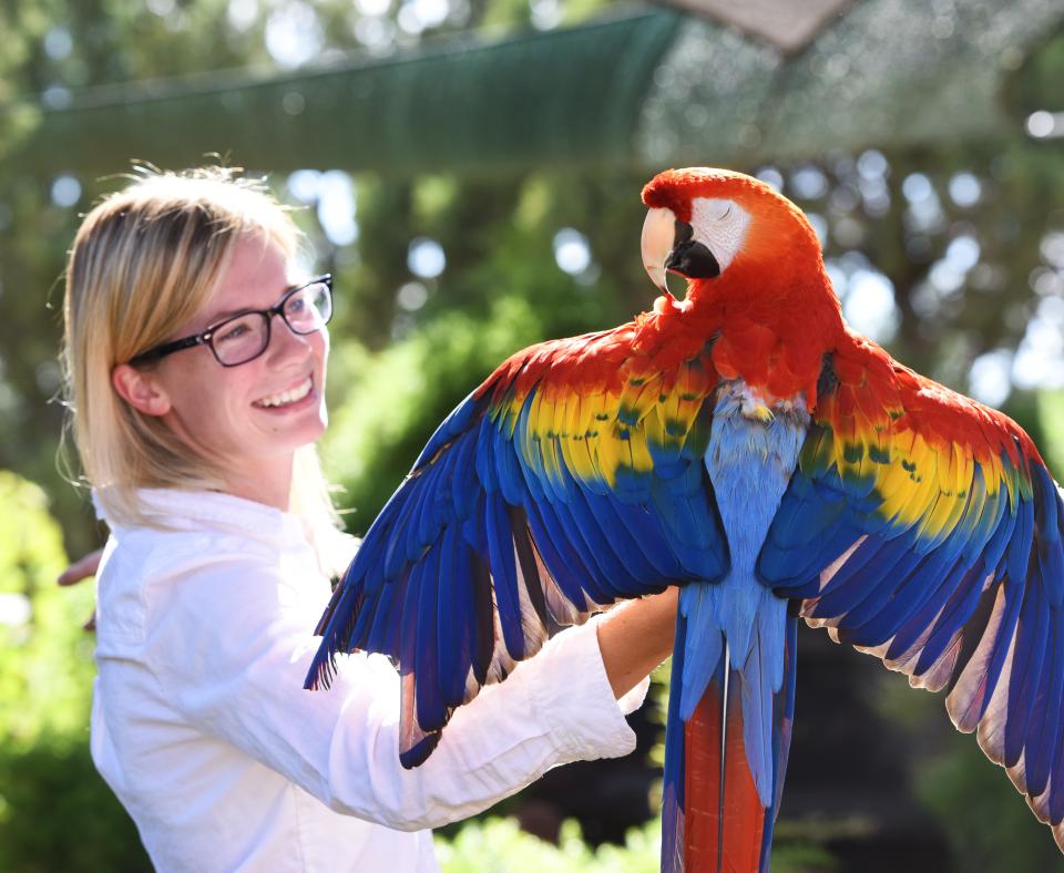 Smiling person with a parrot sitting on their hand
