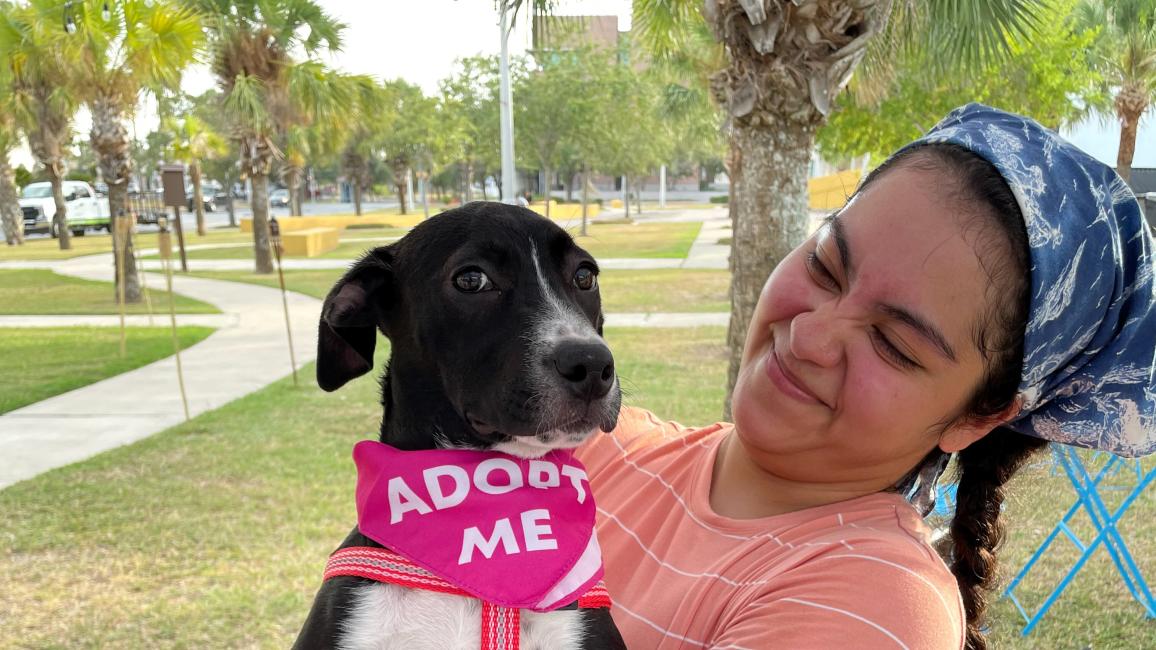 Best Friends marketing intern Jazmin Aguilar holding a dog wearing a pink Adopt Me bandanna
