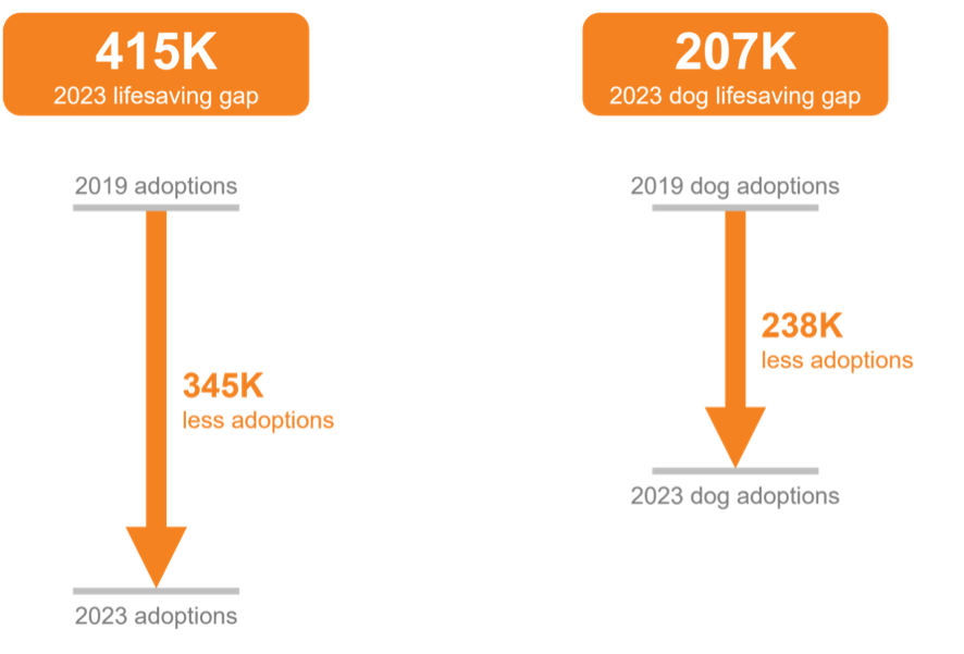 2023 dog lifesaving gap comparison
