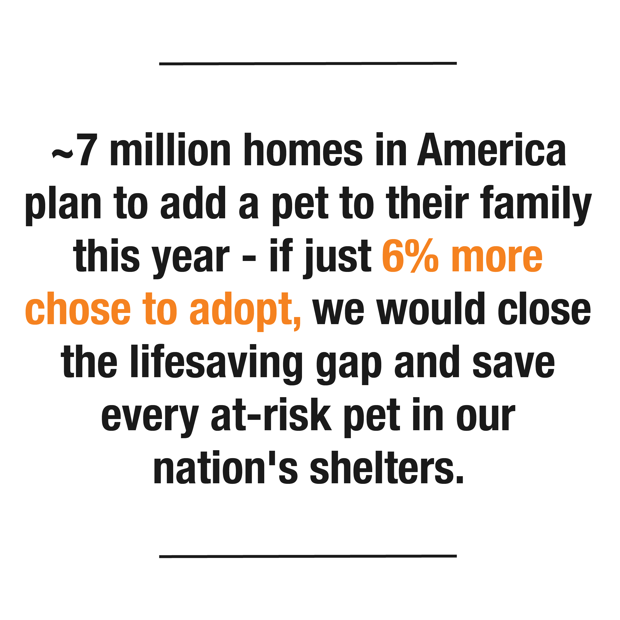 if just 6% more homes in America chose to adopt, we would close the lifesaving gap.