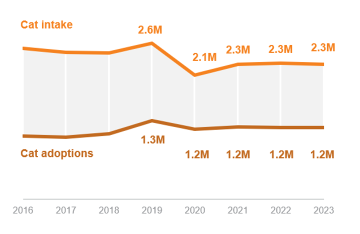 cat intake over cat adoptions