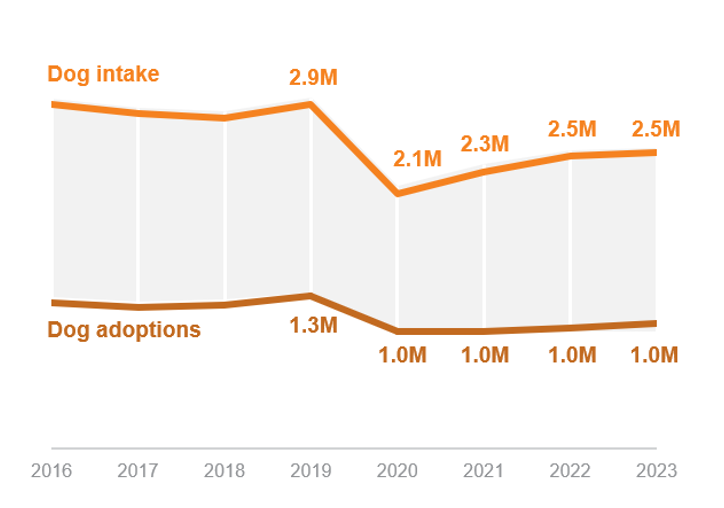 dog intake over dog adoptions