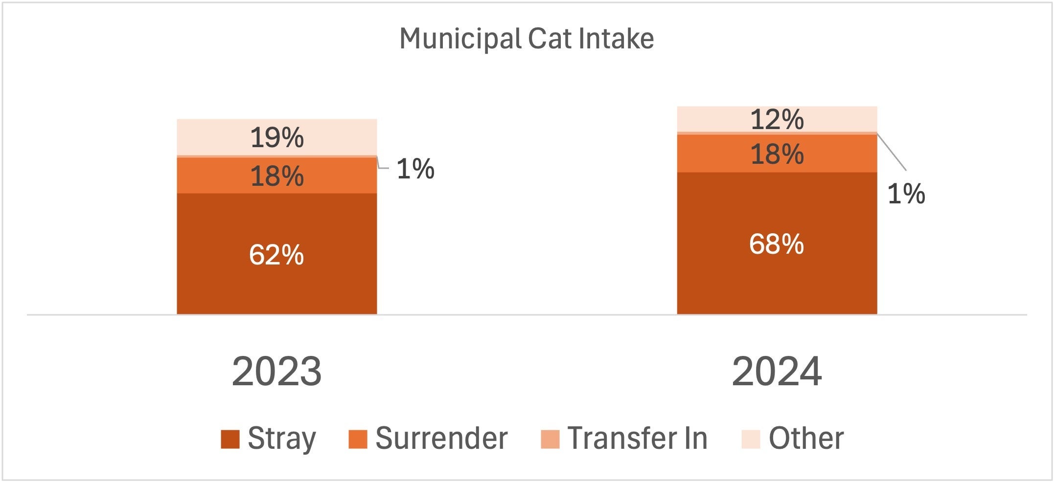 municipal cat intake