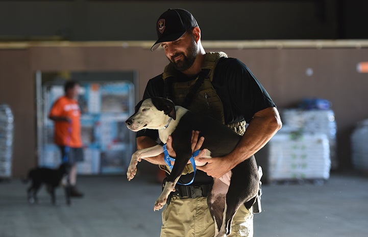 Men and women in uniform volunteer to help pets after Hurricane Harvey in Houston