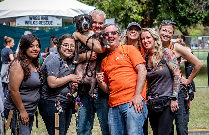 Staff and volunteers excited about Huck the dog's adoption