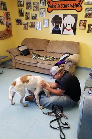 After three years in the shelter, Henry the dog found the perfect home — thanks to Tinder