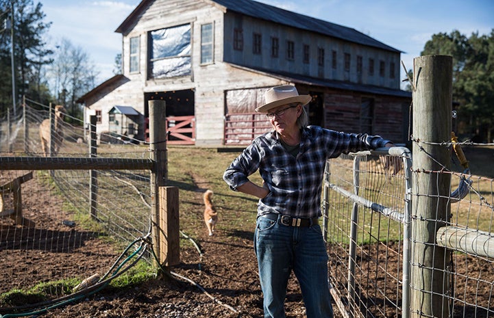 Woman wearing a plaid shirt and hat leaning against a fence with a barn and cat in the background