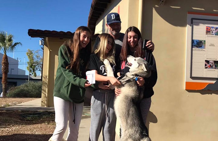 Casper the husky jumping up on group of people who are adopting him