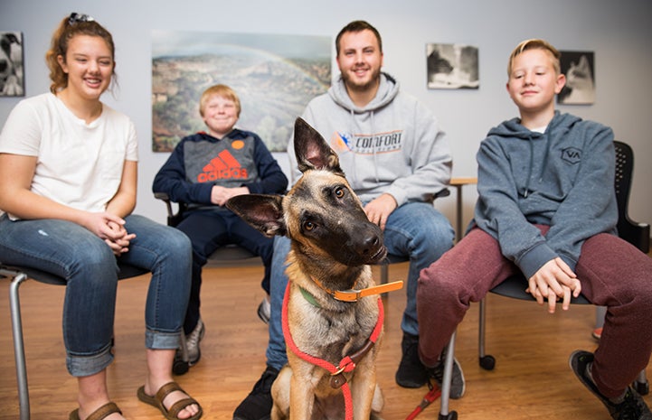 Family adopting Sybil the German shepherd, with her head cocked to the side