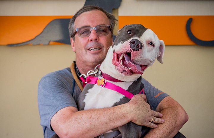 There were tears of happiness that day at the adoption center when Nina the dog was adopted