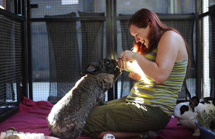 A smiling woman sitting on the ground with Bodie the rabbit climbing up into her lap while she feeds him treats