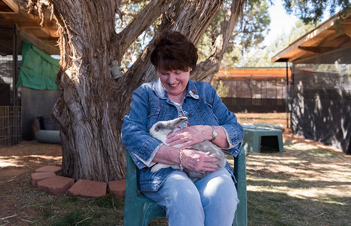 A woman volunteer sitting in a chair holding a gray and white rabbit in her lap