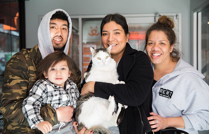 Dwight Schrute, the white and brown tabby cat, getting adopted by the Ayoso family
