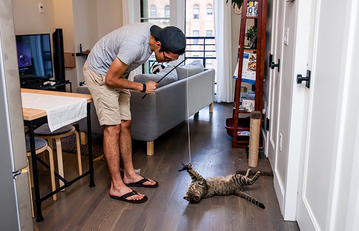 Norman livens up the place with his joy of chasing anything in his path when he’s ready to play