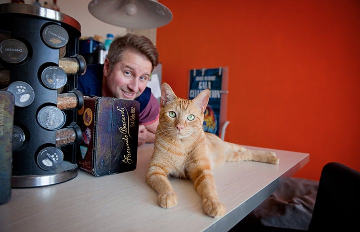 Life is good in Los Angles for Tim and his cats