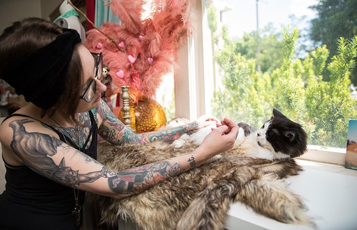Michelle Lunn-Adams petting her adopted senior cat, Leroy Jenkins, who is lying on a blanket