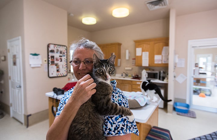 Smiling woman Cat World caregiver holding Lance the cat 