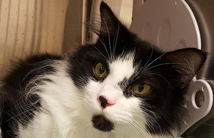 “Angry Eddie” wasn’t so angry anymore