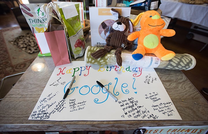 Google the dog's birthday card