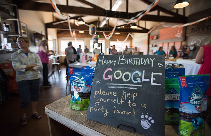 There were even party favors at Google's birthday