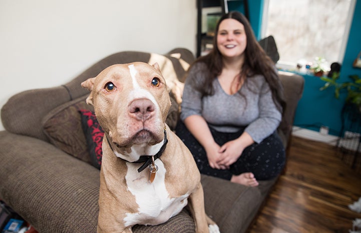 Chelsey knew she and her dog Paisley were meant to be together