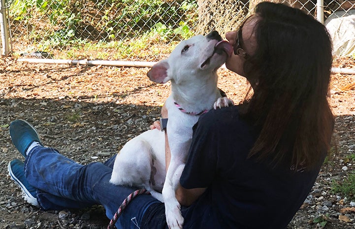 Cookie the dog kissing Amy the volunteer's face
