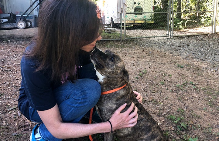 Diamond the dog looking up lovingly at a woman
