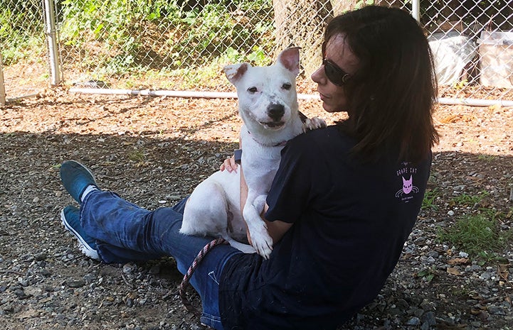 Amy volunteering with Cookie the dog in her lap