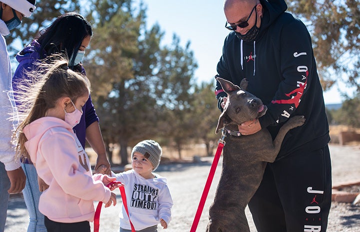 The family being reunited with Stormy the dog