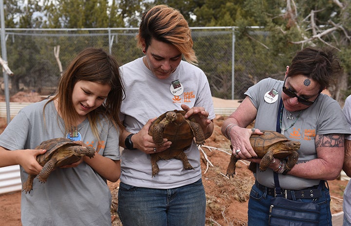 Some members of the Winnick holding tortoises while volunteering at Wild Friends