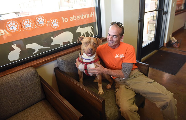 Brown pit-bull-terrier-type dog, Ledger, at the Best Friends Visitor's Center with Dogtown volunteer and part-time staffer Tim