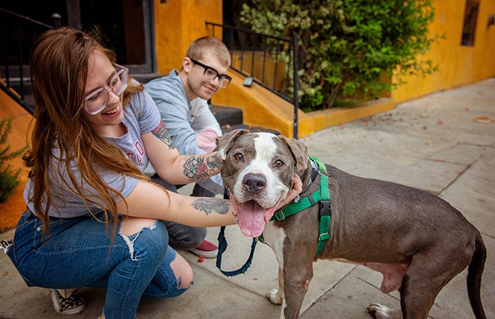 Woman squatting down to pet Harvey Milkbone the dog while another person is behind them sitting on some stairs