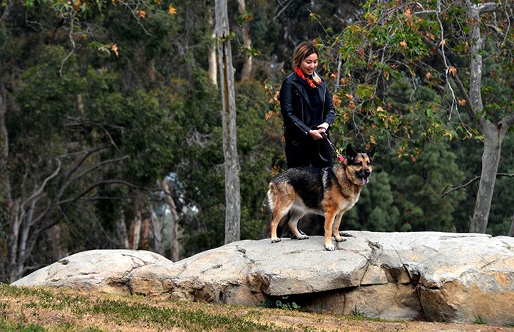 Cheryl Chan walking Harriet the German shepherd dog, on a big rock in the woods
