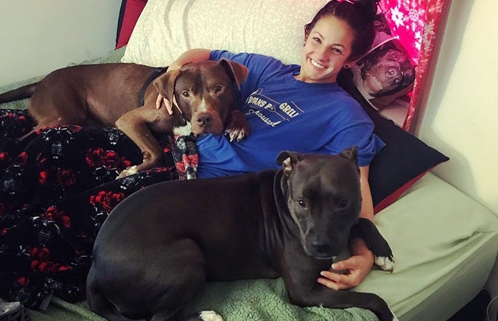 Bonnie lying in bed with Arrow as well as another dog