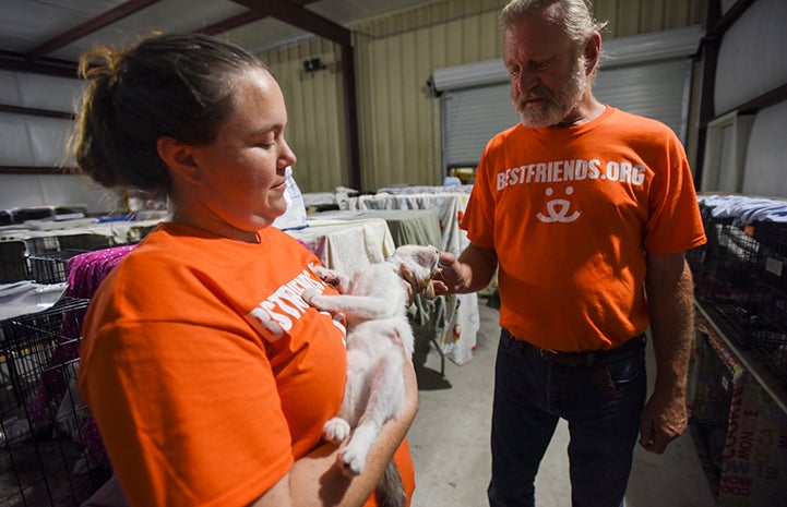 Caregivers Heather Henley and Mike Bzdewka with a cat at the Rescue and Reunite Center