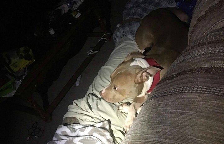 Boy must have been ready to go because he went with the guy and didn’t put up a fuss at all