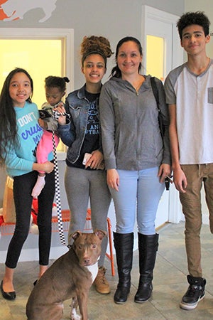 Harvey the dog being adopted by his new family