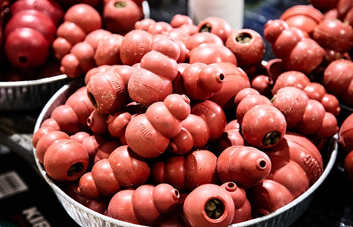 Donated Kongs bring enrichment to the dogs rescued after Hurricane Harvey