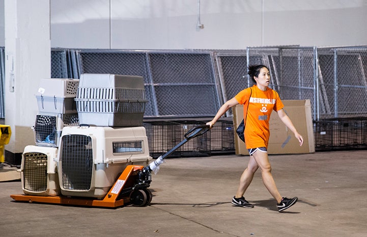 The Petco Foundation donated an 18-wheeler tractor-trailer truck full of kennels and other items