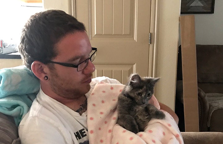Man holding Rogue, the dilute tortoiseshell kitten, in a blanket