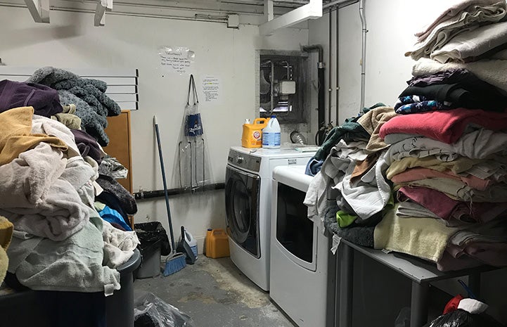 Large piles of linens in the Hopalong Animal Rescue laundry room